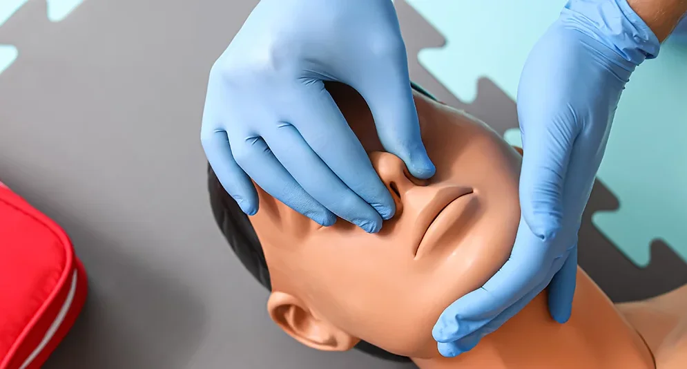 CPR Dummy